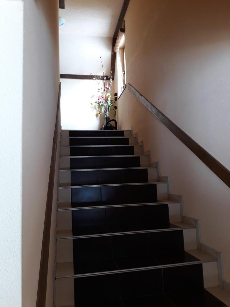 Apartments Vucko فلاسيتش المظهر الخارجي الصورة